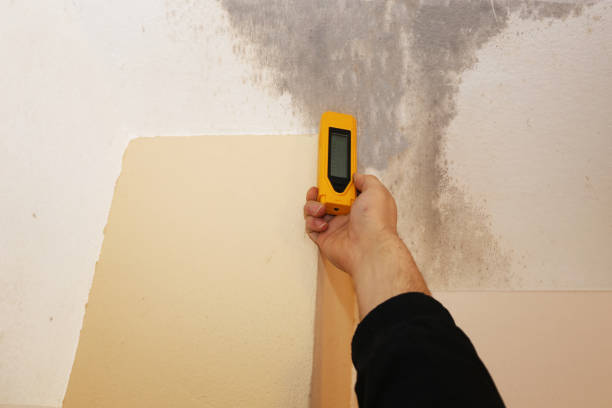 Best Dehumidification Services  in Valparaiso, IN