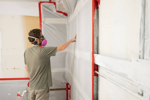 Professional Mold Inspection, Removal & Remediation in Valparaiso, IN